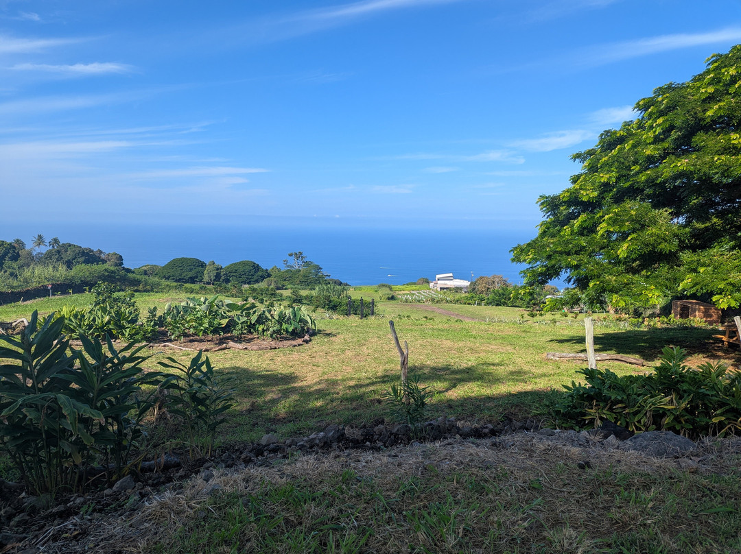Puna Chocolate Company-凯鲁瓦-柯纳必去景点