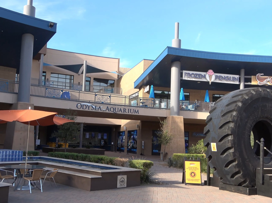OdySea Aquarium-斯科茨代尔必去景点
