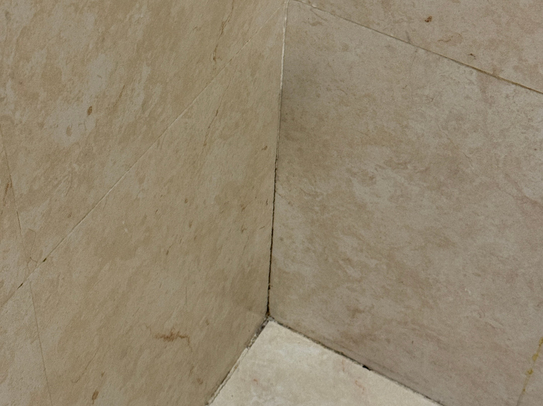 费斯塔客栈酒店主图