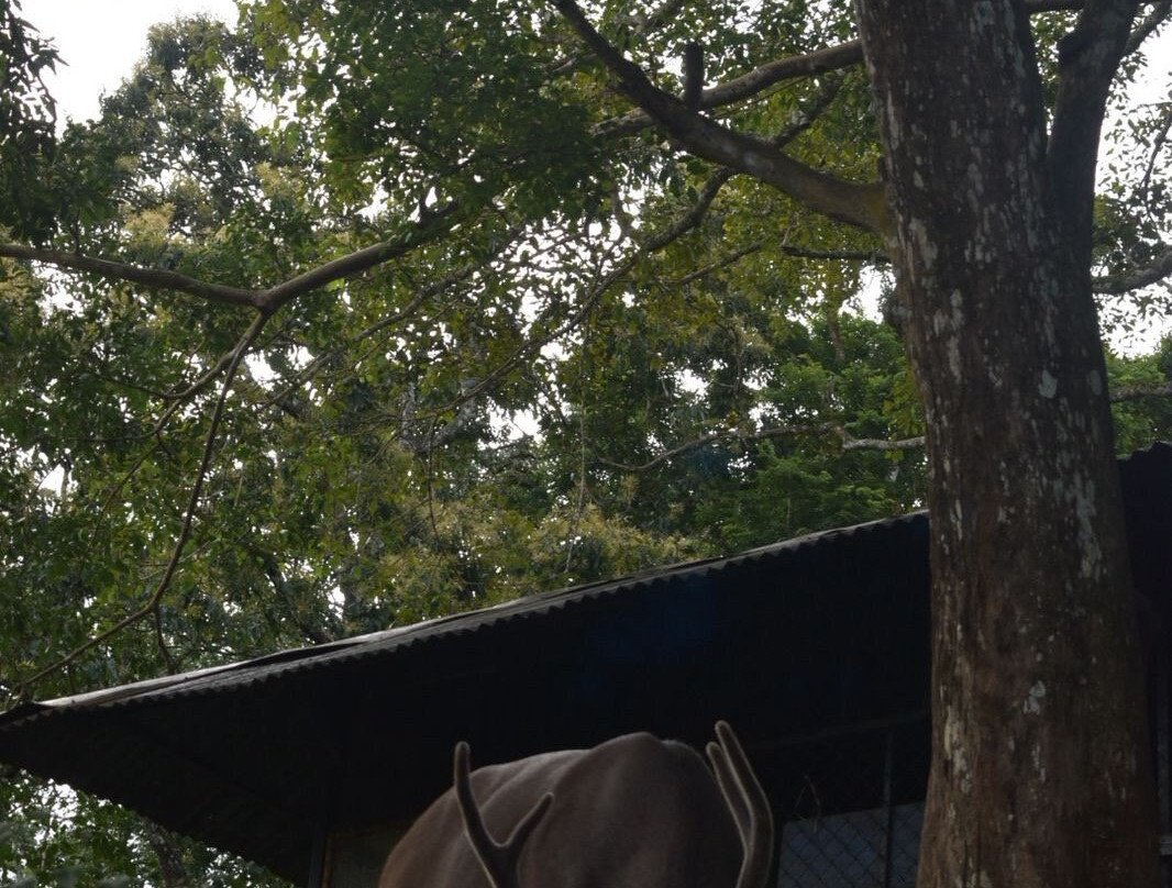 KTDC Periyar House主图