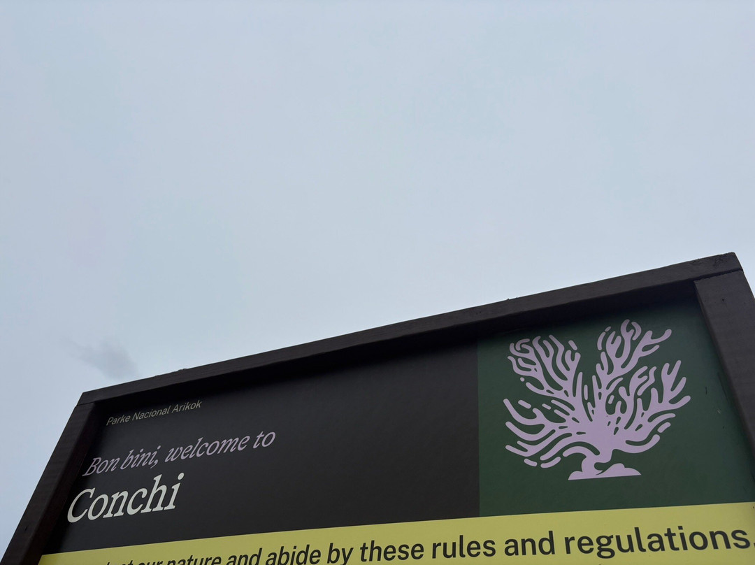 Red Sail Sports Aruba-奥腊涅斯塔德必去景点