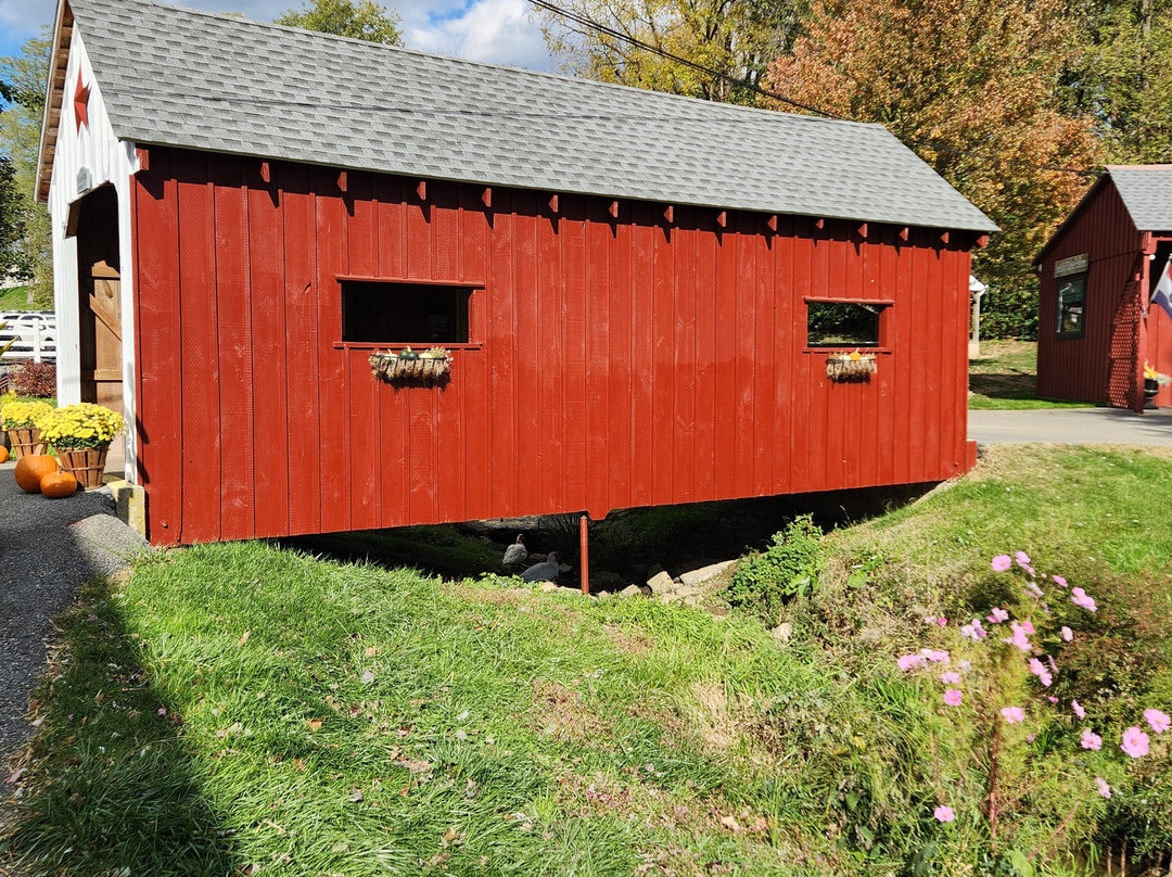 阿米什村庄-Ronks必去景点
