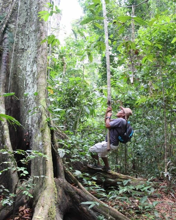 Amazon Discovery-伊基托斯必去景点