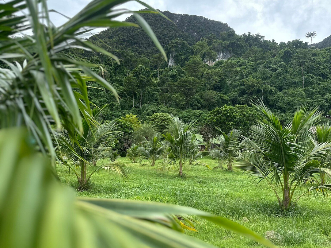 Sea Eagle Tour-甲米必去景点