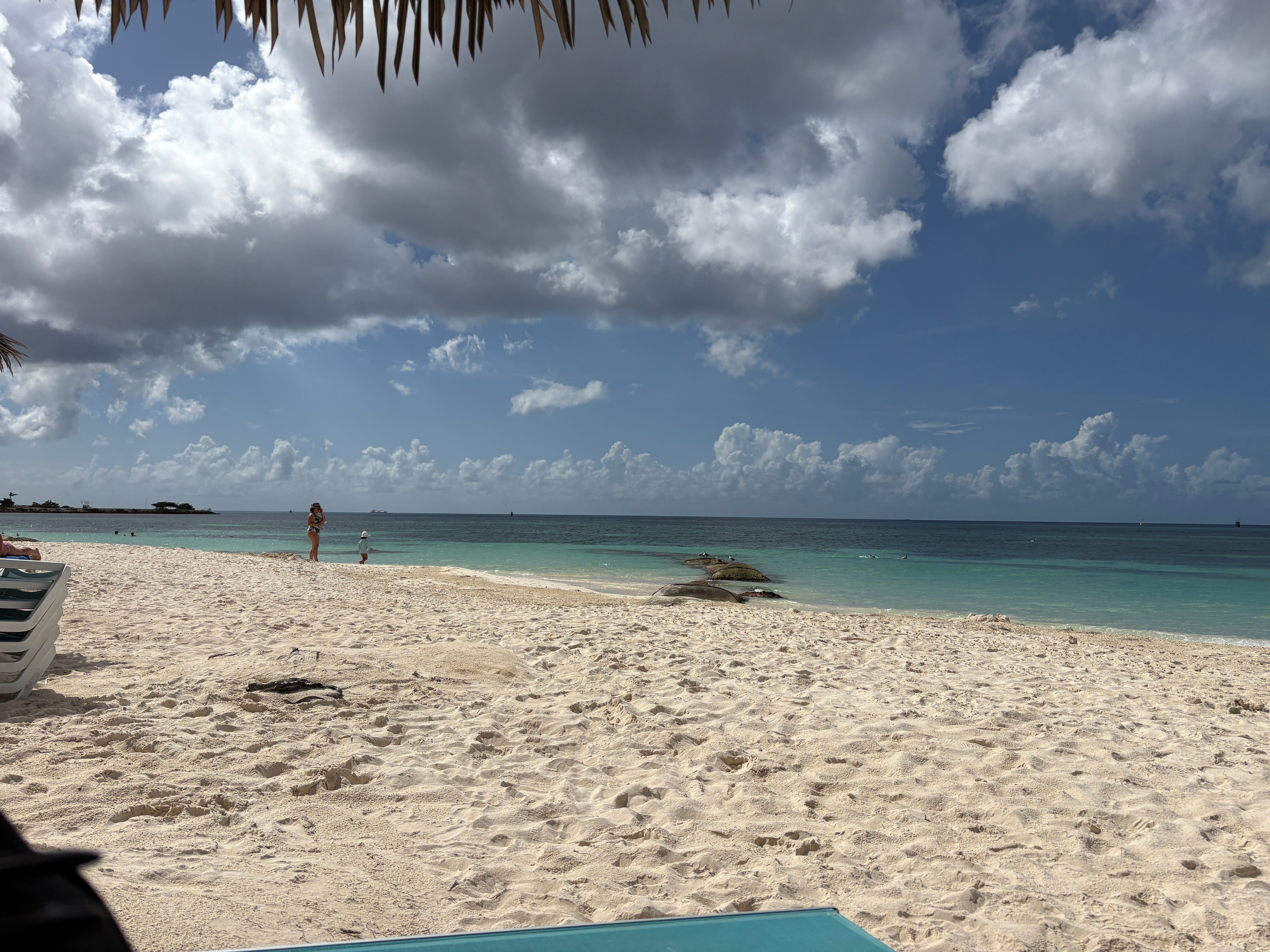 Divi Dutch Village Beach Resort-官方