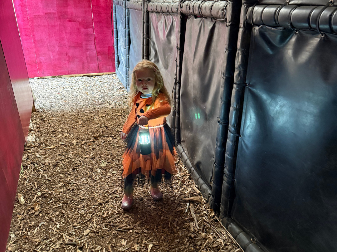 4 Kingdoms Adventure Park-纽伯里必去景点