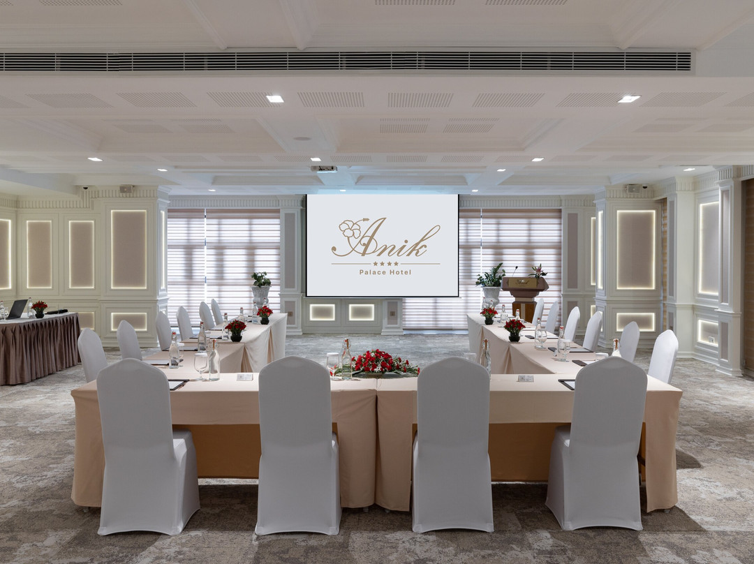 Anik Palace Hotel主图