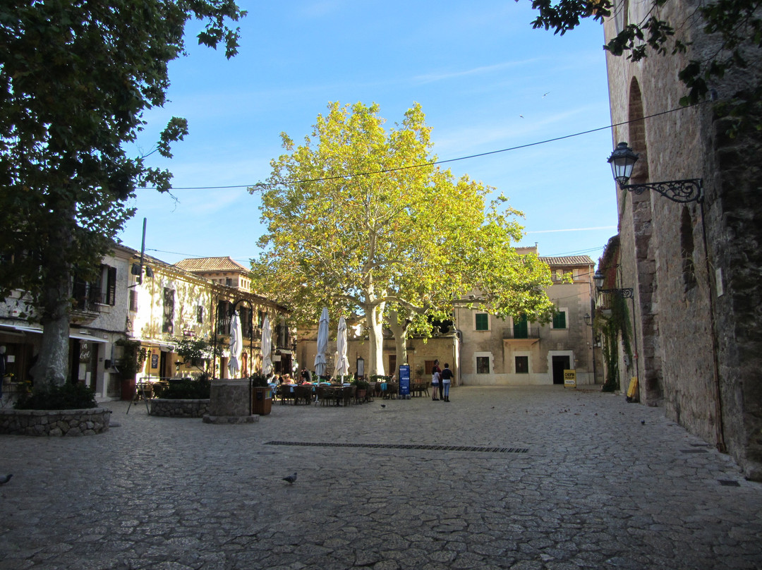 Plaça Cartoixa-法德摩萨必去景点