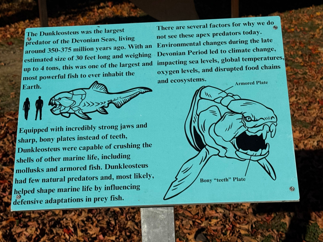 Devonian Fossil Gorge-爱荷华城必去景点