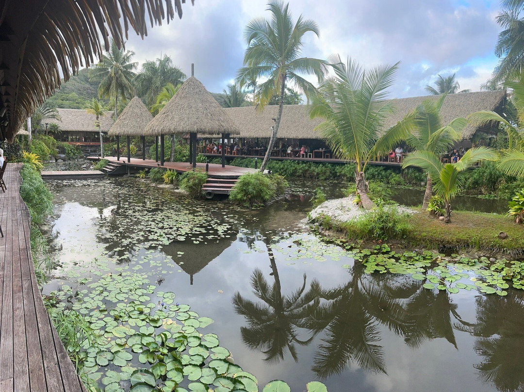 Over-Water Night Show & Dinner-穆里必去景点