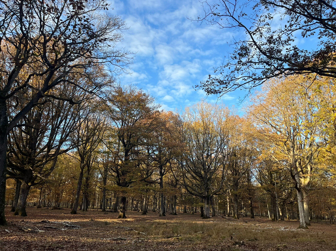 Espace Rambouillet-Rambouillet必去景点