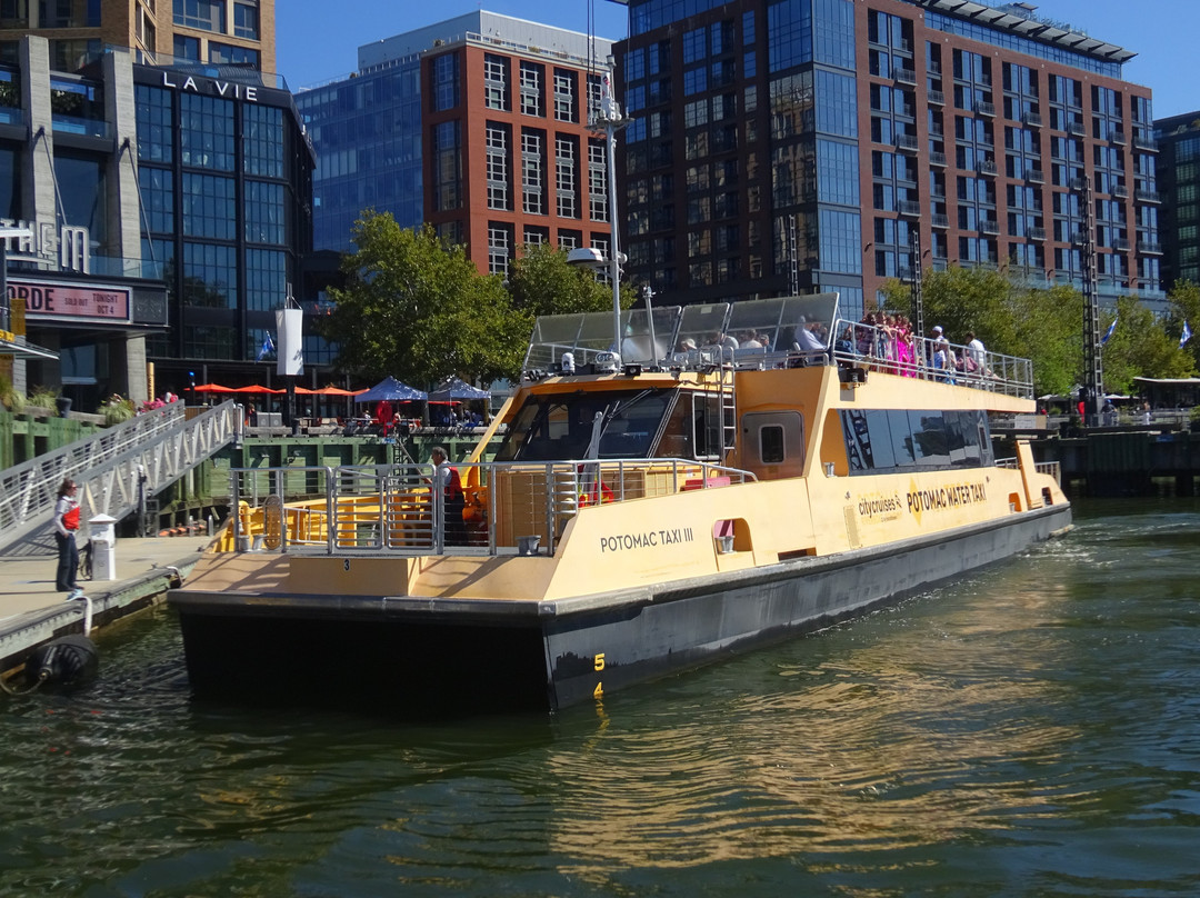 Potomac Water Taxi | City Cruises-亚历山德里亚必去景点