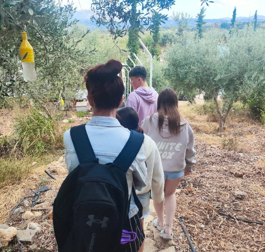 Snail Farm And Fun-Tylissos必去景点