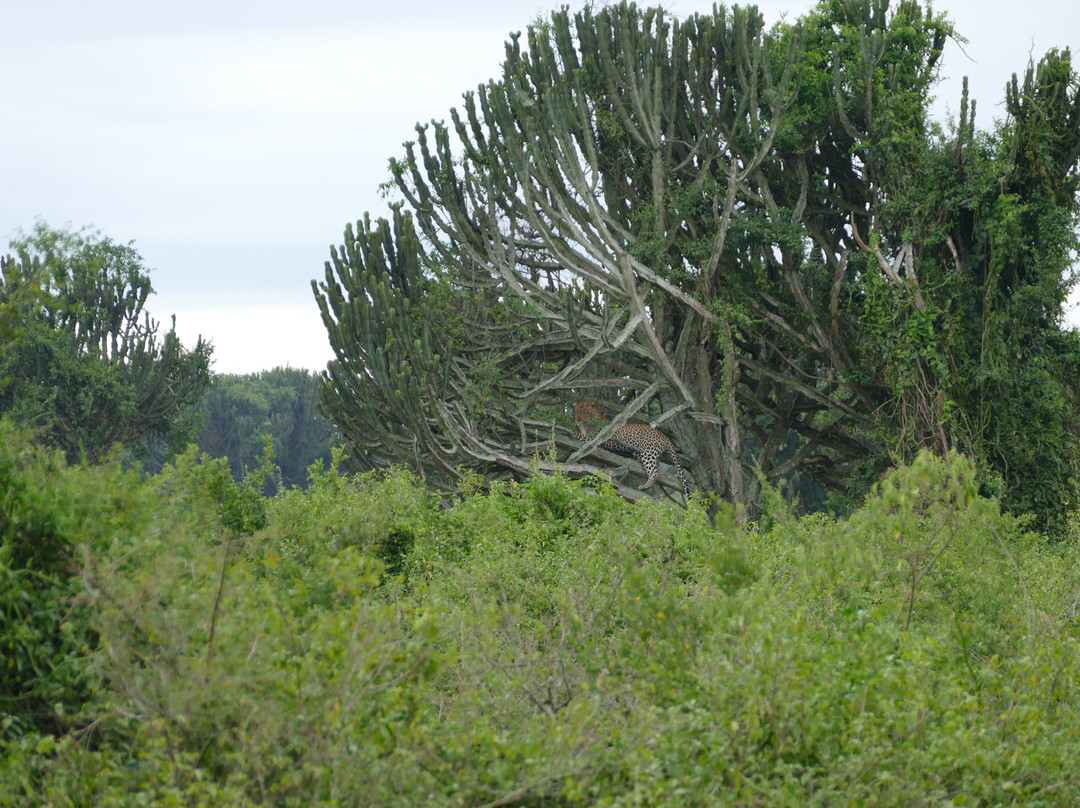 Kfir Adventures Ltd-马辛迪必去景点