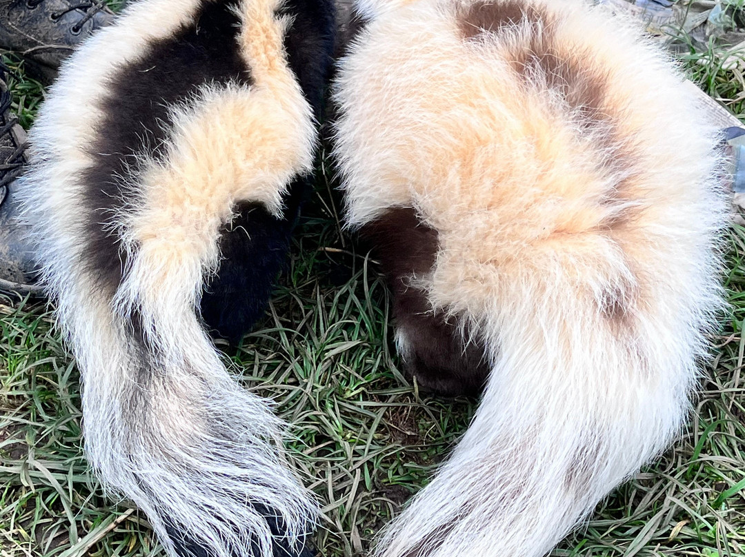 Holmes Chapel Zoo-Holmes Chapel必去景点