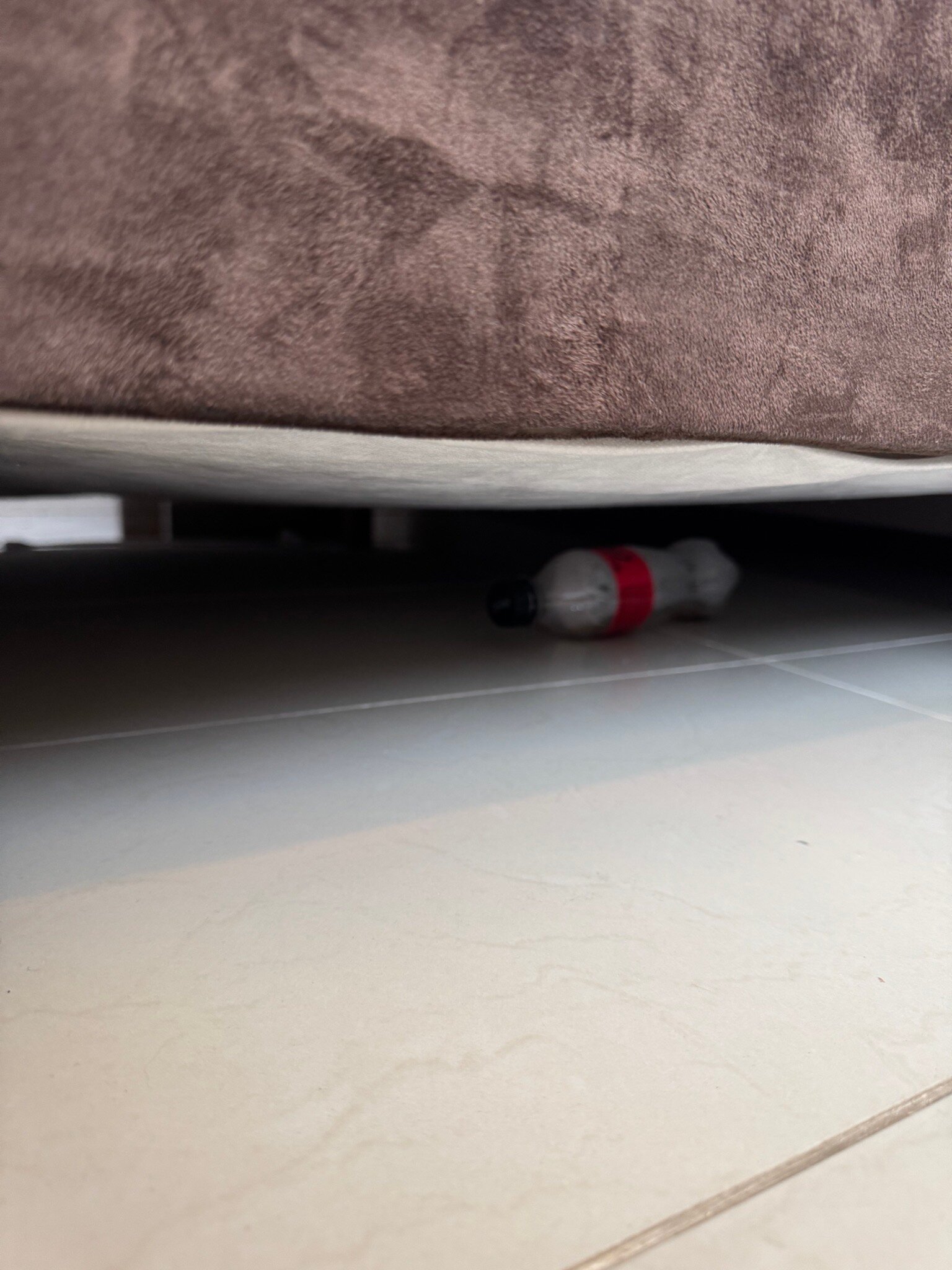 草原之星酒店-官方