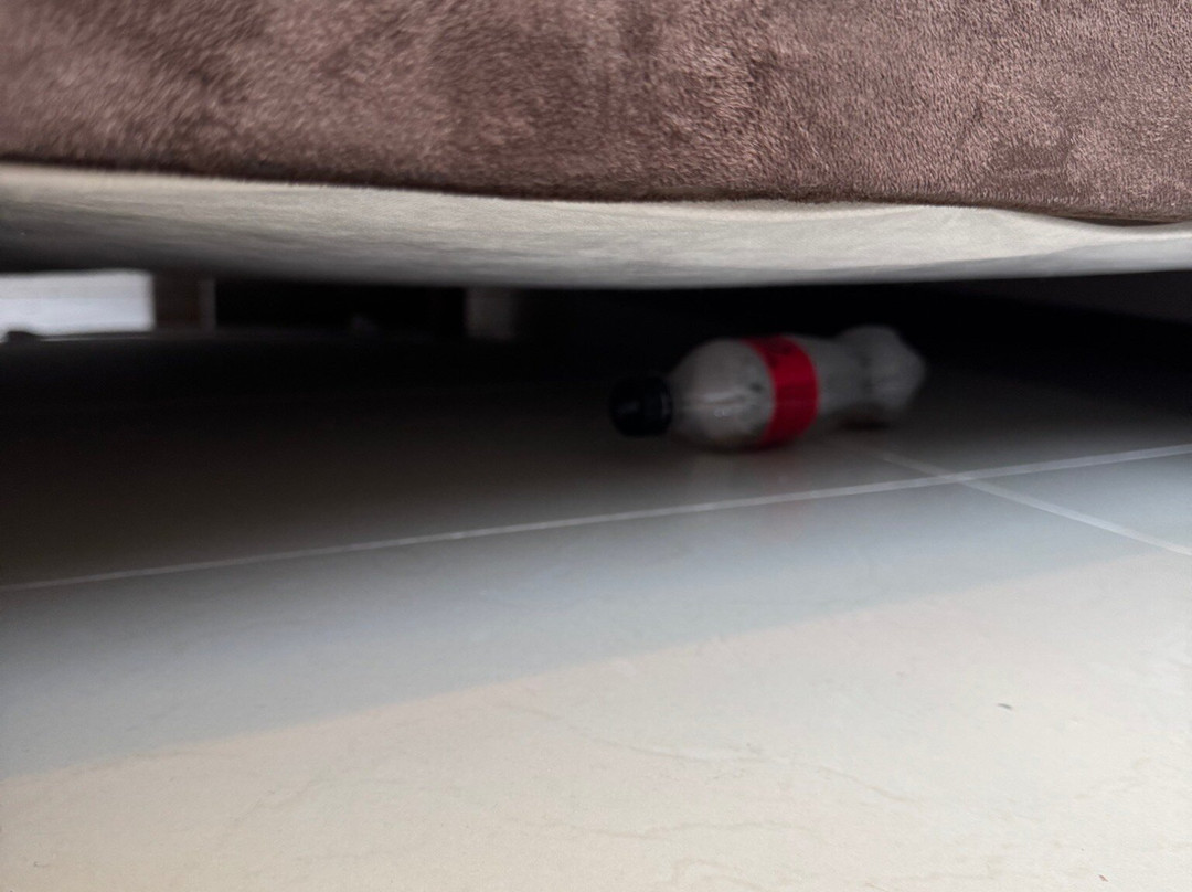 草原之星酒店主图