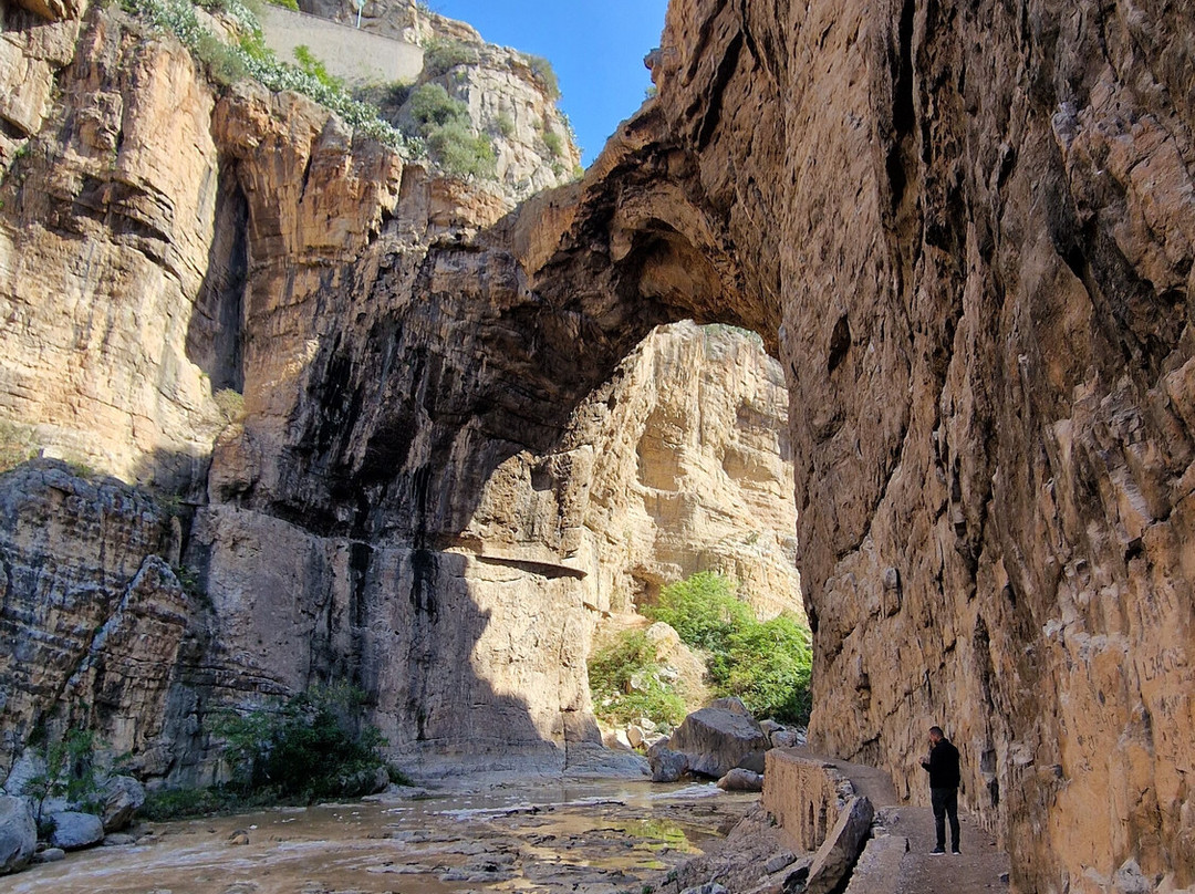 Fancyellow Travel Services-阿尔及尔必去景点