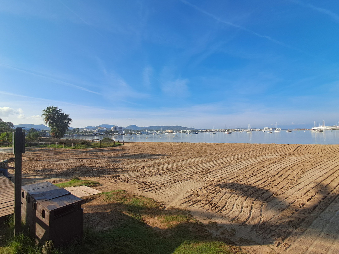 Platja de S'Arenal-圣安东尼德波特曼尼必去景点