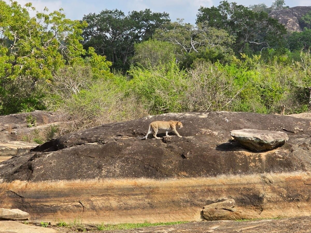 Xtreme Tours and Travels-科伦坡必去景点