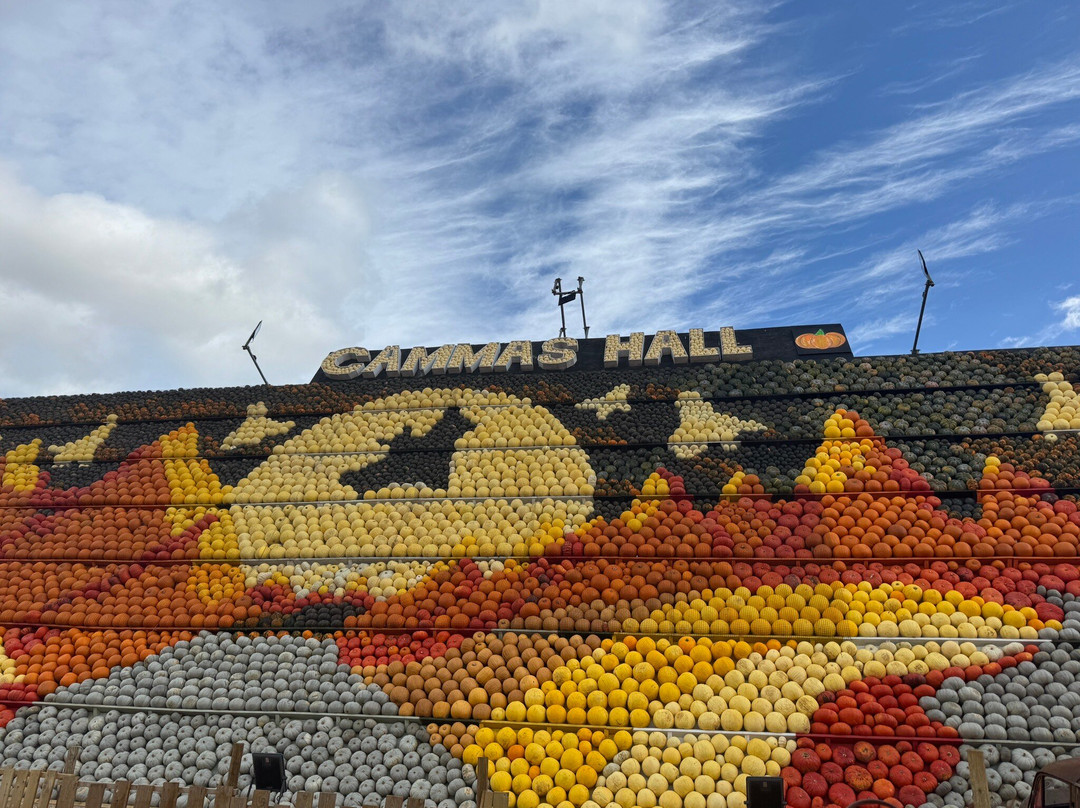 Cammas Hall Farm-Bishops Stortford必去景点