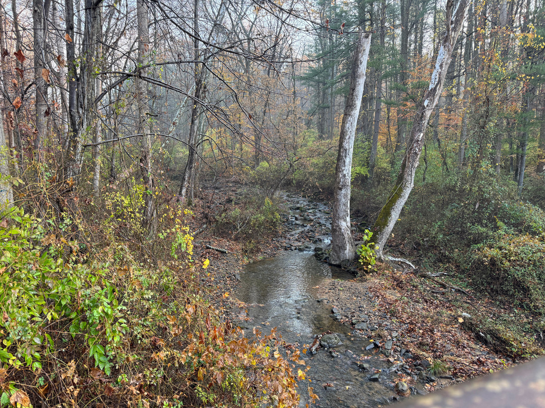 Brandywine Creek State Park-威尔明顿必去景点
