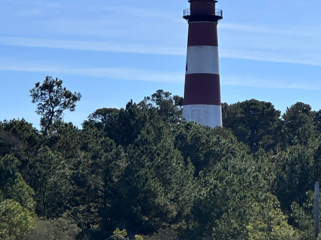 Captain Dan's Around the Island Tours-钦科蒂格岛必去景点