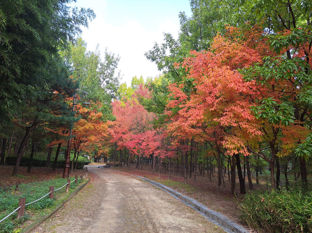 Hanbat Arboretum-大田必去景点