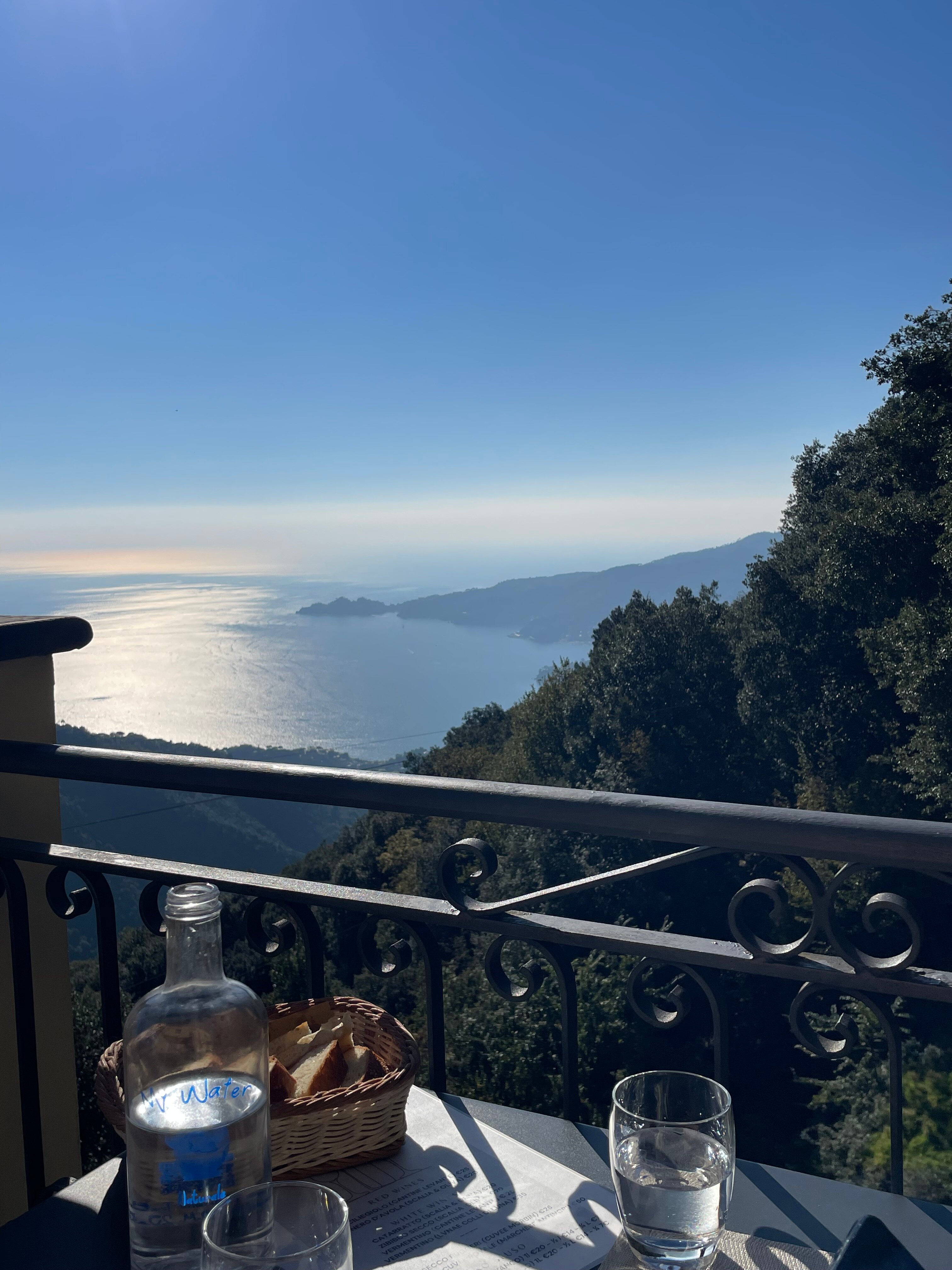 Hotel Ristorante Montallegro-官方