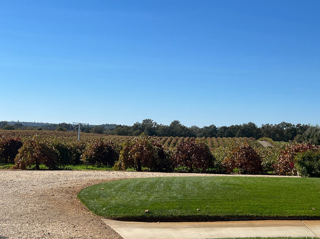 Cooper Vineyards-Plymouth必去景点