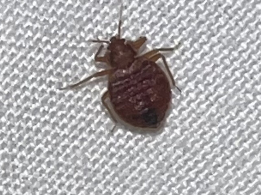 Twin Oaks Motel主图