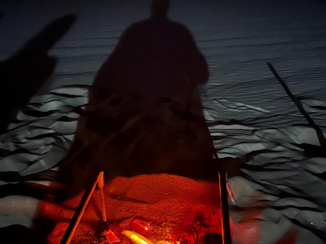 Hamada Desert Safari-Bawiti必去景点