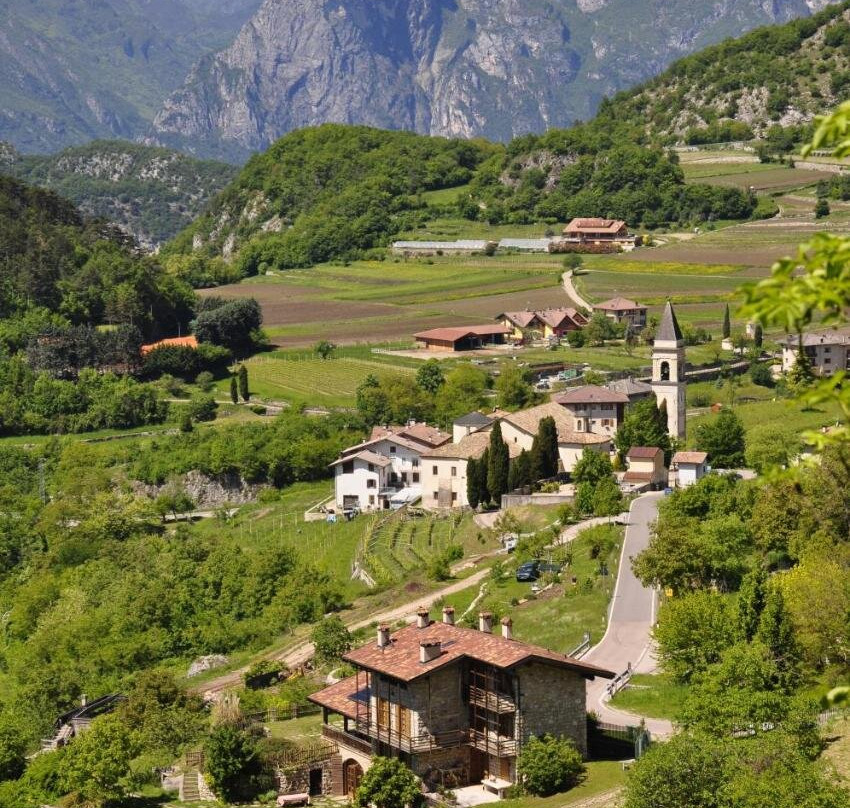 Ca' Dei Fazzilisti