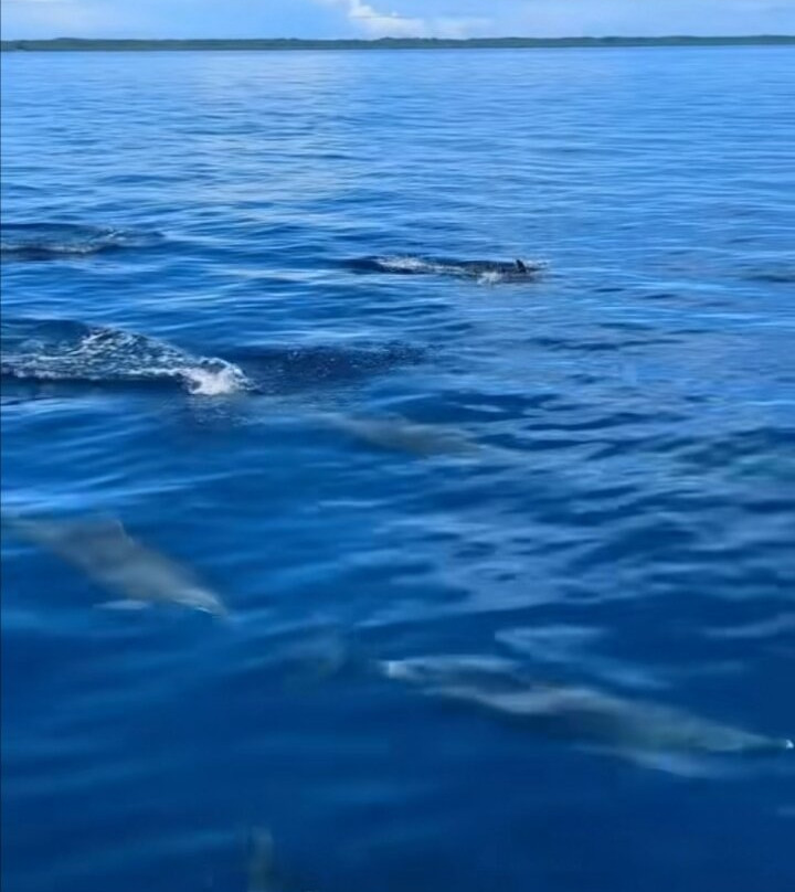 Bunaken National Marine Park-布纳肯岛必去景点