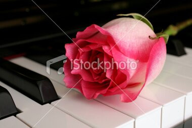 Inefable Bar Andorra