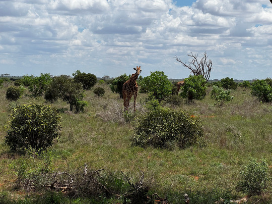 Boomtrail Tours And Travels-蒙巴萨必去景点