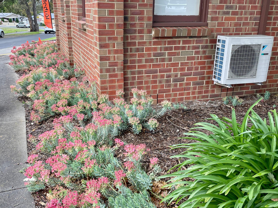 Tyers Art Festival-Tyers必去景点