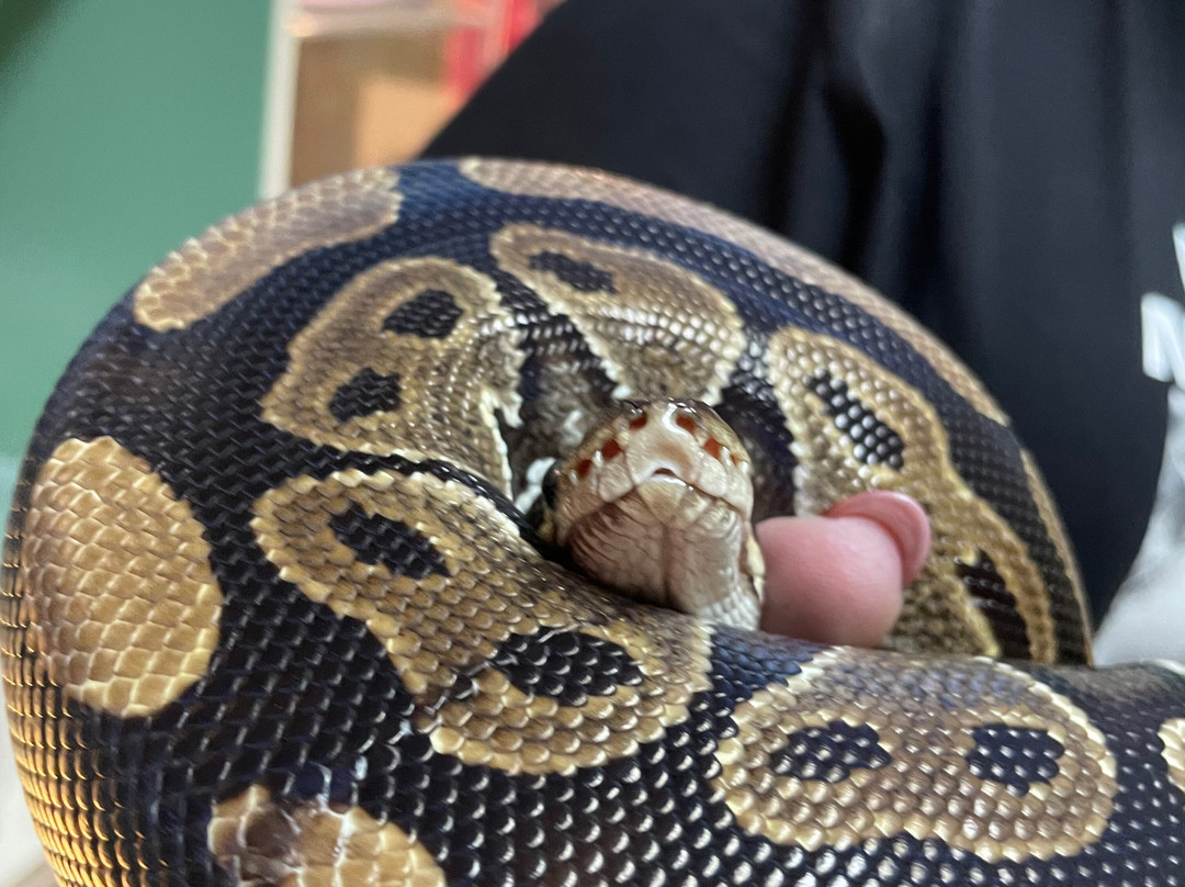 Tula Exotarium-图拉必去景点