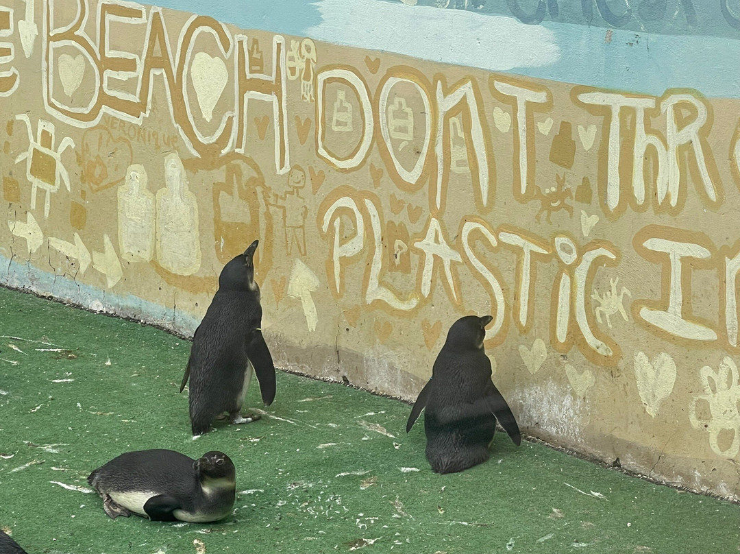 Tenikwa Wildlife Awareness Centre-The Crags必去景点