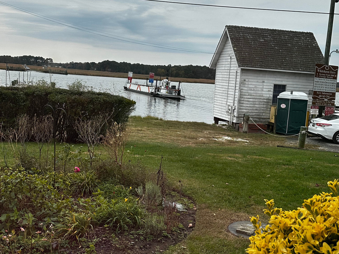 Whitehaven Hotel主图