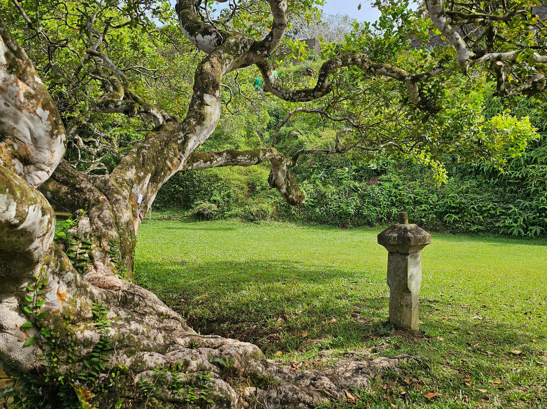 Come Visit Sri Lanka-康提必去景点