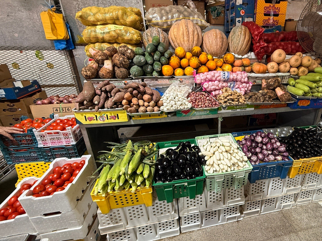 Tours for You-迪拜必去景点