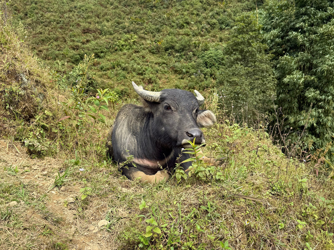 Sapa Trekking With Ku-沙巴必去景点