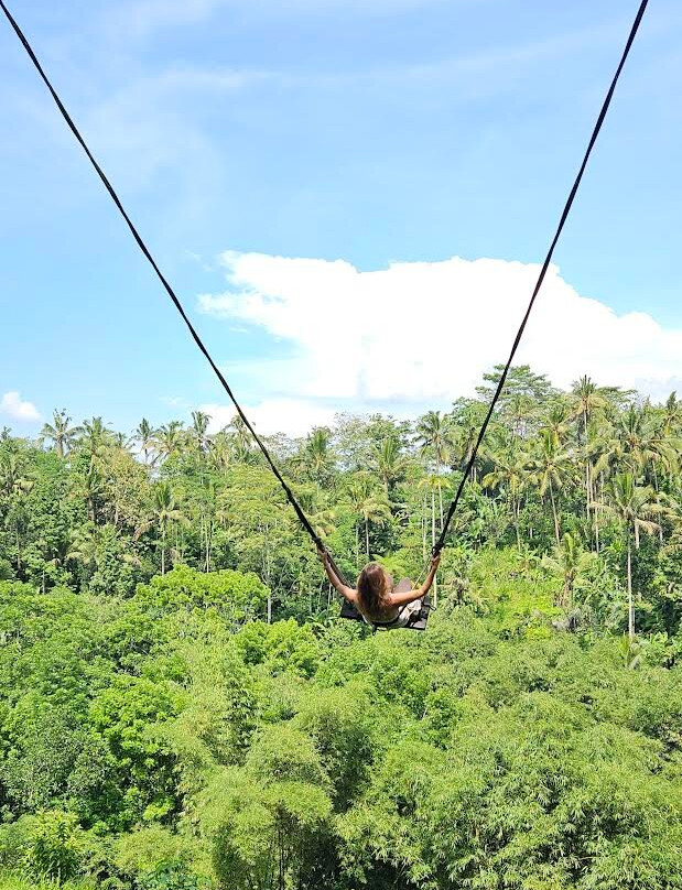 Bali Unique Driver-巴厘岛必去景点
