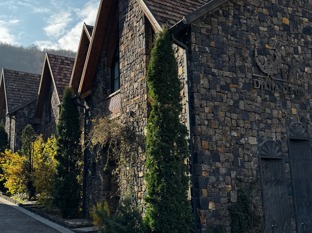 Dilijani Tun Hotel主图