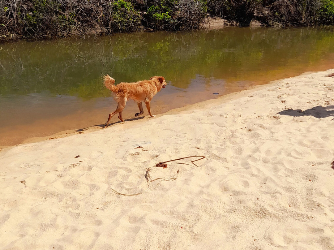 Praia de Pitinga-Arraial d'Ajuda必去景点