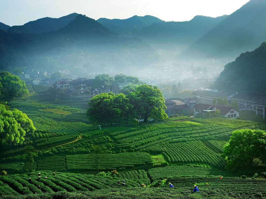 Gray Line的一日游-上海市必去景点