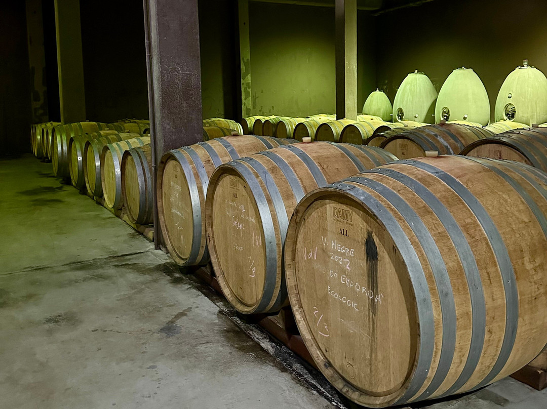 Espelt Viticultors-Vilajuiga必去景点