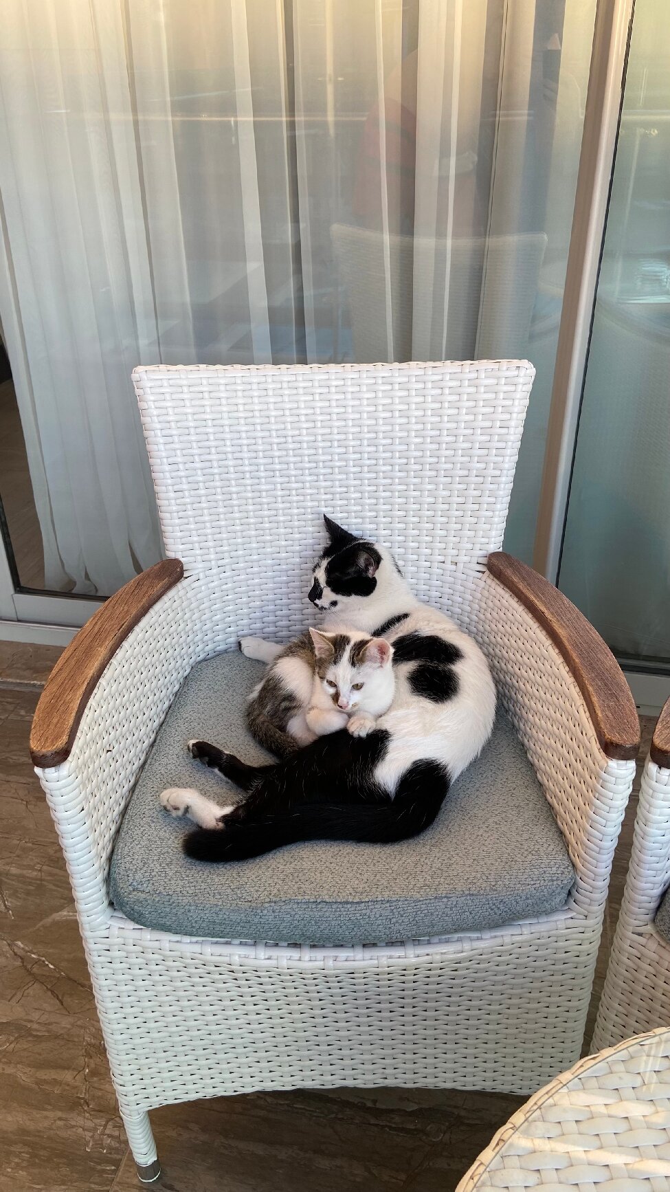 Tui Magic Life Masmavi-官方