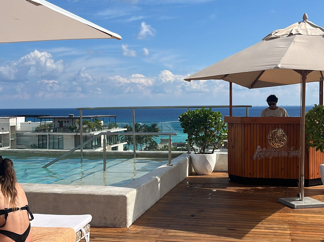 The Roof 28 - At The Reef 28-普拉亚德尔卡曼必去景点